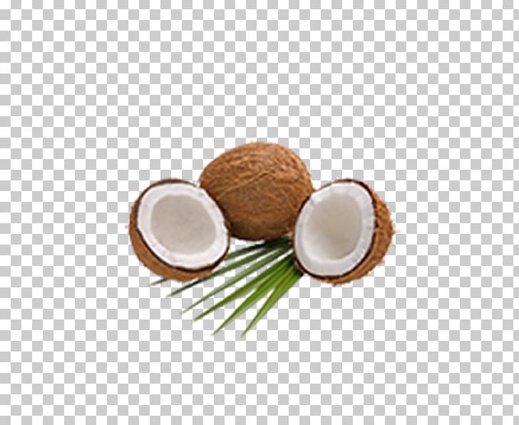 Organic Food Coconut Oil Coconut Milk Powder PNG, Clipart, Baking, Brown, Coconut, Coconut Cream, Coconut Leaf Free PNG Download