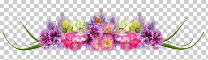 Cut Flowers .de PNG, Clipart, Cut Flowers, Flower, Grass, I Will Always Love You, Petal Free PNG Download