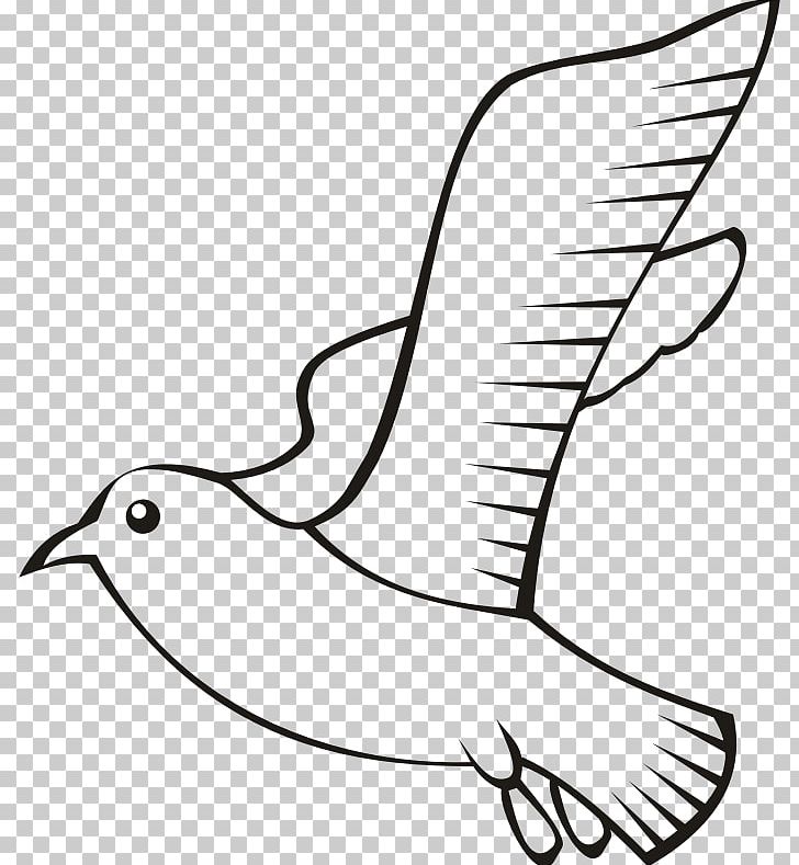 Feather Bird Flight PNG, Clipart, Animals, Arm, Art, Artwork, Beak Free PNG Download