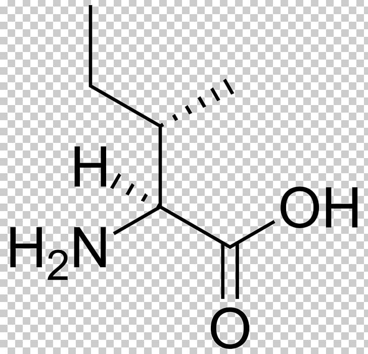 Isoleucine Branched-chain Amino Acid Proteinogenic Amino Acid Essential Amino Acid PNG, Clipart, Acid, Angle, Area, Black And White, Branchedchain Amino Acid Free PNG Download