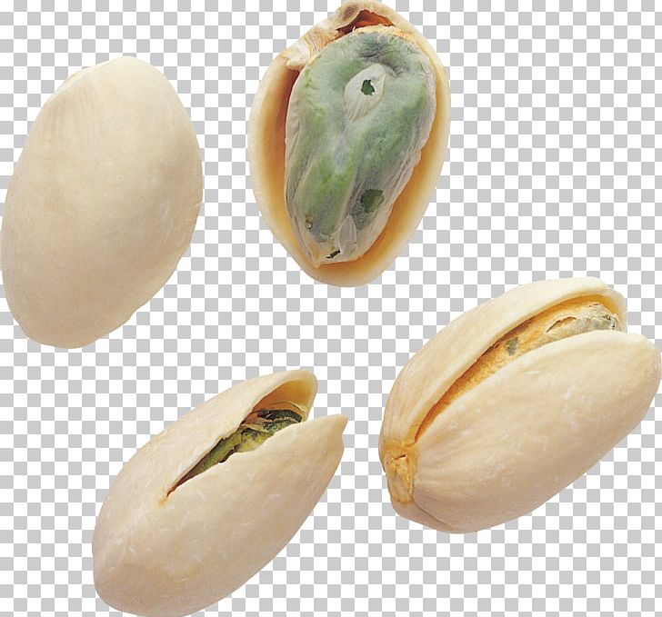 Pistachio PhotoScape PNG, Clipart, Digital Image, Done, Download, Food, Fruit Nut Free PNG Download