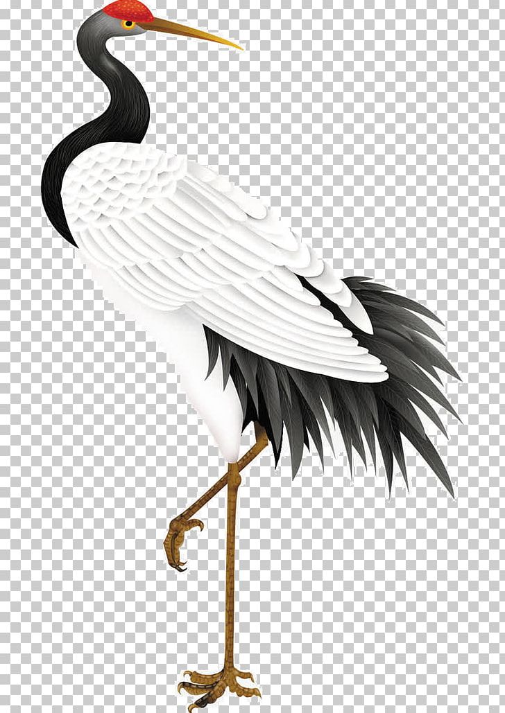 Red-crowned Crane Budaya Tionghoa Bird PNG, Clipart, Beautiful, Budaya Tionghoa, Chinoiserie, Ciconiiformes, Crane Free PNG Download