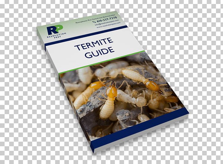 Termite Pest Swarming Recipe How-to PNG, Clipart, Animal Source Foods, Billions, Dish, Food, Howto Free PNG Download