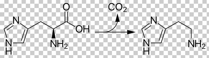 Histidine Decarboxylase Histamine Decarboxylation Tyrosine PNG, Clipart, Amine, Amino Acid, Angle, Area, Arginine Free PNG Download