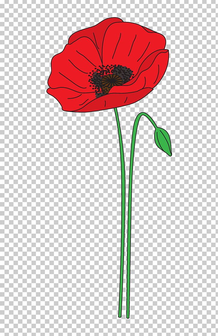 Remembrance Poppy Anzac Day Flower PNG, Clipart, Anzac Day, Armistice Day, Cli, Common Poppy, Coquelicot Free PNG Download