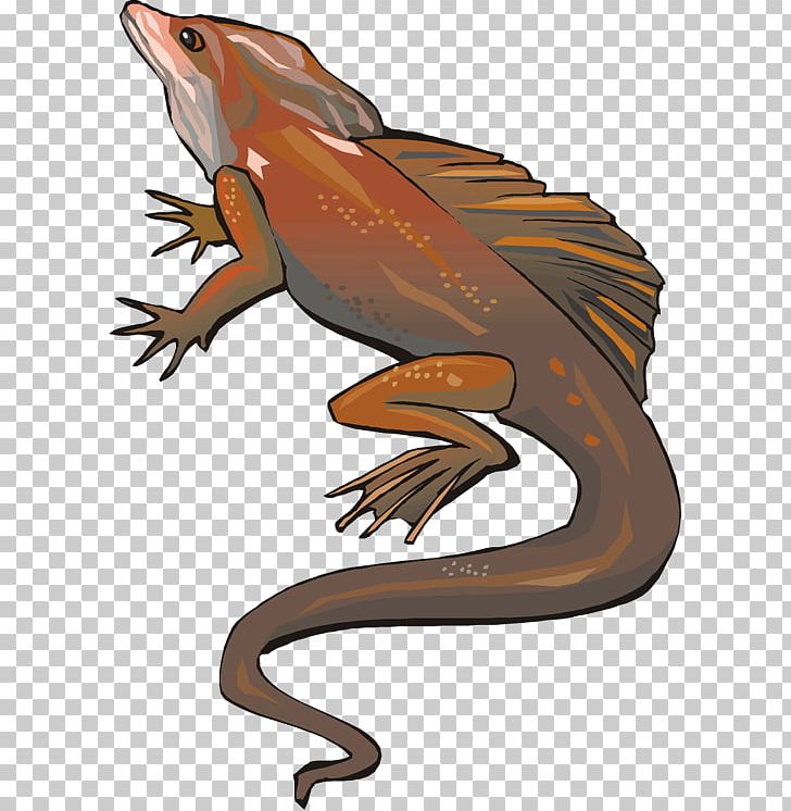 Reptile Lizard Amphibian PNG, Clipart, Amphibian, Animal, Animals, Art, Cartoon Free PNG Download