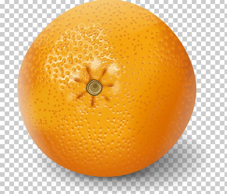 Clementine Orange Juice Mandarin Orange Tangerine PNG, Clipart, Bitter Orange, Chocolate, Citric Acid, Citrus, Citrus Junos Free PNG Download
