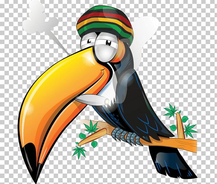 Jamaica Graphics Stock Photography PNG, Clipart, Beak, Bird, Cartoon, Dreamstime, Fauna Free PNG Download