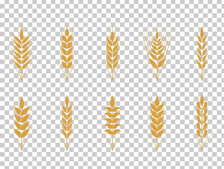 Oat Cereal Wheat Icon PNG, Clipart, Agriculture, Botany, Commodity, Food, Geometric Pattern Free PNG Download