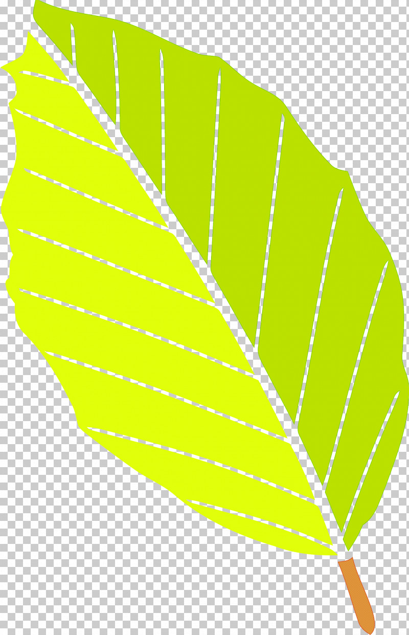 Autumn Leaf Yellow Leaf Leaf PNG, Clipart, Autumn Leaf, Green, Leaf, Line, Plant Free PNG Download