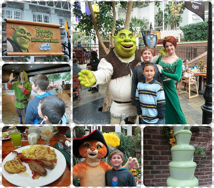 Gaylord Opryland Resort & Convention Center DreamWorks Experience Princess Fiona Shrek Film Series PNG, Clipart, Dreamworks, Dreamworks Animation, Food, Others, Princess Fiona Free PNG Download