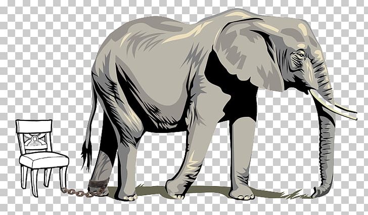 Kingdom Biology Vertebrate Monera Life PNG, Clipart, African Elephant, Animal, Animals, Biology, Clip Free PNG Download