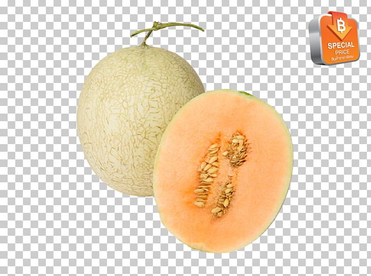 Cantaloupe Honeydew Galia Melon Fruit PNG, Clipart, Cantaloupe, Cucumber Gourd And Melon Family, Food, Fruit, Fruit Nut Free PNG Download
