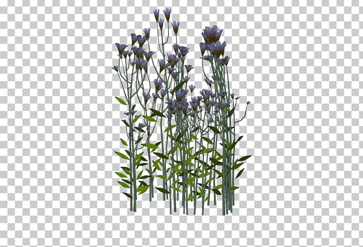 English Lavender Twig Plant Stem Flowerpot PNG, Clipart, Bahar Cicekleri, Branch, English Lavender, Flora, Flower Free PNG Download