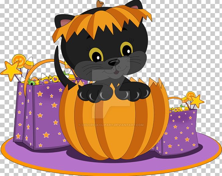 Kitten Whiskers PNG, Clipart, Animals, Beaver, Black Cat, Calabaza, Carnivoran Free PNG Download