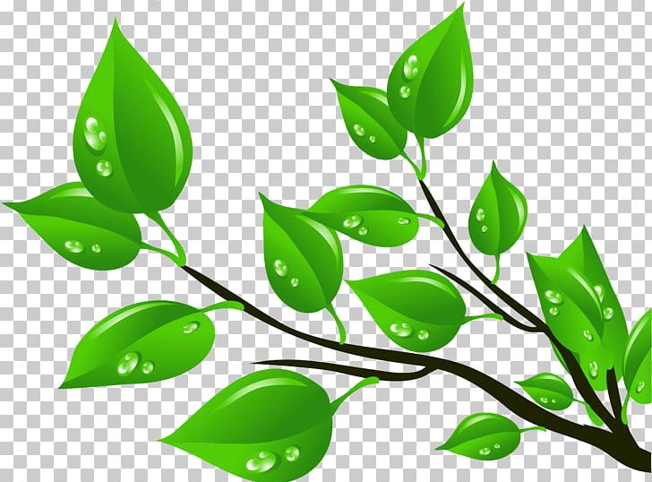 Leaf PNG, Clipart, Animals, Art, Autumn Leaf Color, Branch, Desktop Wallpaper Free PNG Download