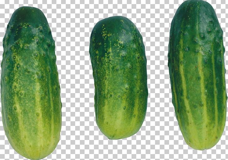 Pickled Cucumber Vegetable Melon PNG, Clipart, Cucumber, Cucumber Gourd And Melon Family, Cucumis, Food, Gherkin Free PNG Download