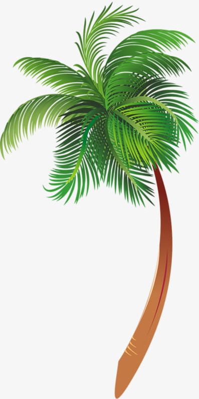Cartoon Palm Tree PNG, Clipart, Cartoon Clipart, Cartoon Clipart, Leaves,  Palm, Palm Clipart Free PNG Download
