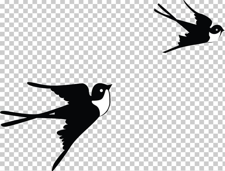Papercutting Silhouette PNG, Clipart, Animals, Art, Beak, Bird, Black And White Free PNG Download