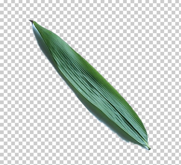 Zongzi Leaf PNG, Clipart, Free, Free Download, Free Logo Design Template, Free Material, Free Pictures Free PNG Download