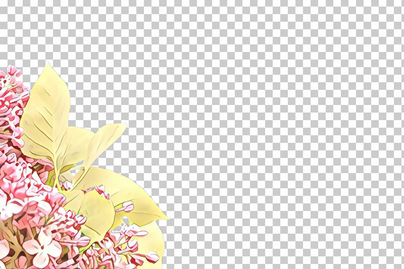 Floral Design PNG, Clipart, Blossom, Bougainvillea, Cut Flowers, Floral Design, Flower Free PNG Download