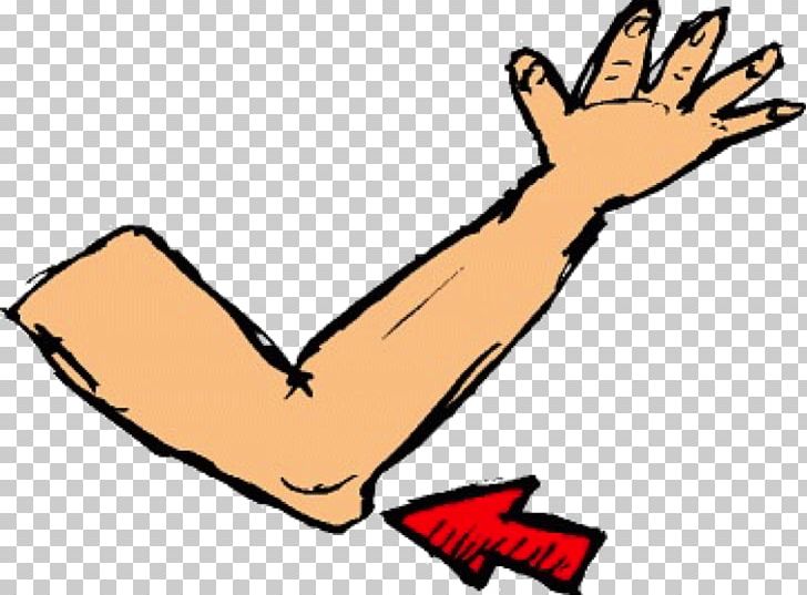 Elbow PNG, Clipart, Angle, Area, Arm, Arm Clipart, Artwork Free PNG Download