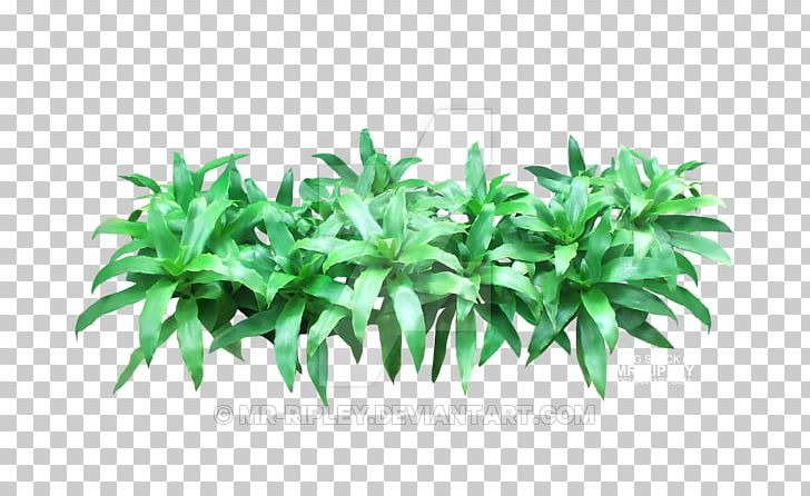 Leaf Flowerpot Herb Tree PNG, Clipart, Flowerpot, Grass, Herb, Leaf, Plant Free PNG Download