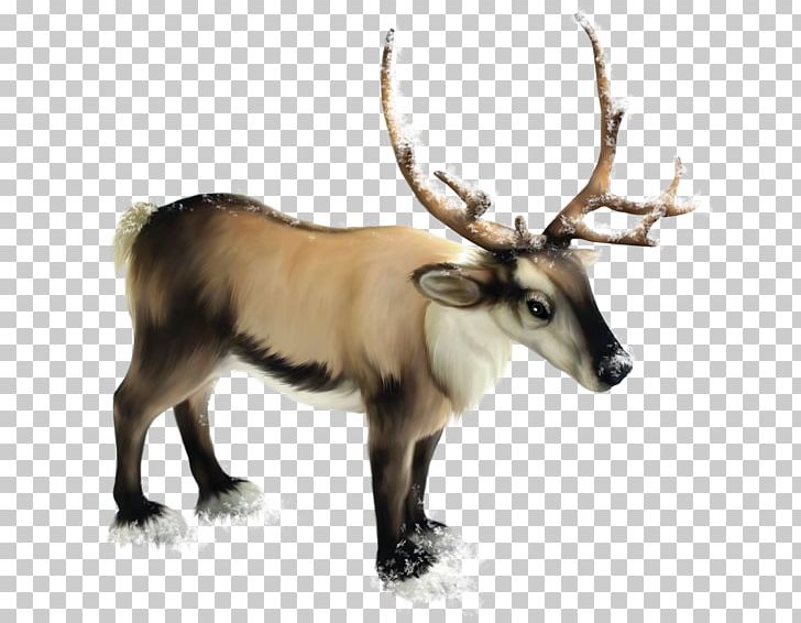 Rudolph Reindeer Roe Deer Moose PNG, Clipart, Animal, Antler, Cartoon, Christmas, Deer Free PNG Download