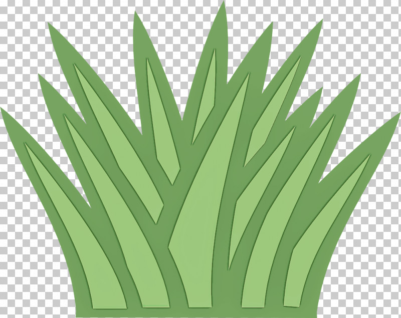 Green Leaf Grass Plant Grass Family PNG, Clipart, Flower, Grass, Grass Family, Green, Houseplant Free PNG Download