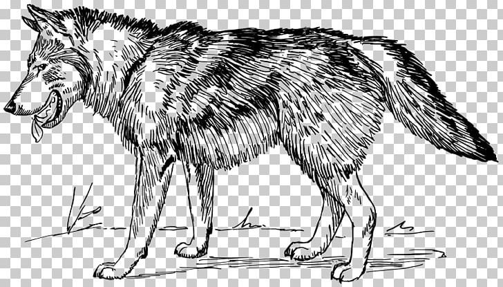 Arctic Wolf Black Wolf PNG, Clipart, Animals, Arrow Sketch, Artwork, Carnivoran, Cartoon Free PNG Download