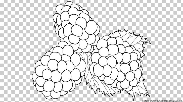 BlackBerry Line Art Coloring Book PNG, Clipart, Angle, Area, Black And White, Blackberry, Blackberry Fruit Free PNG Download