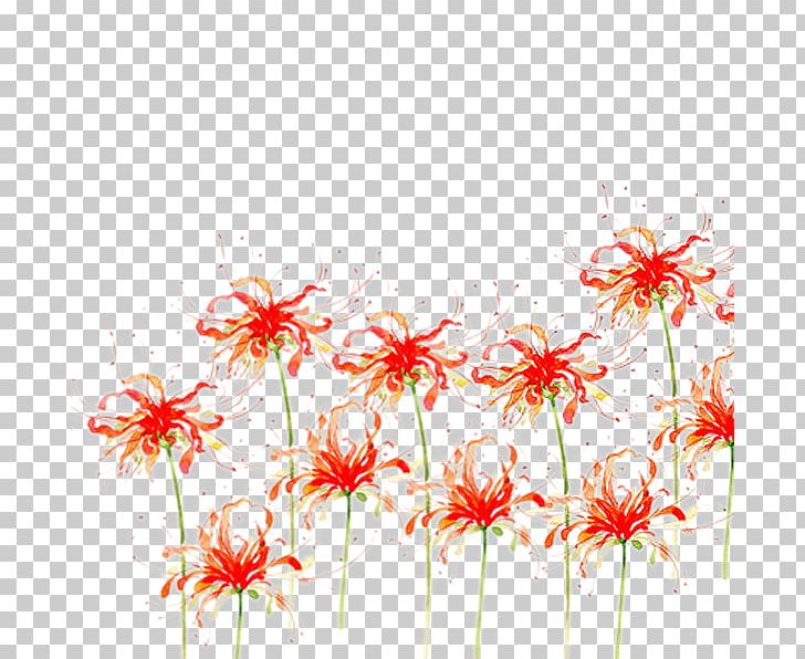 Flower Red Spider Lily PNG, Clipart, Adobe Illustrator, Beautiful, Branch, Datura, Datura Flowers Free PNG Download