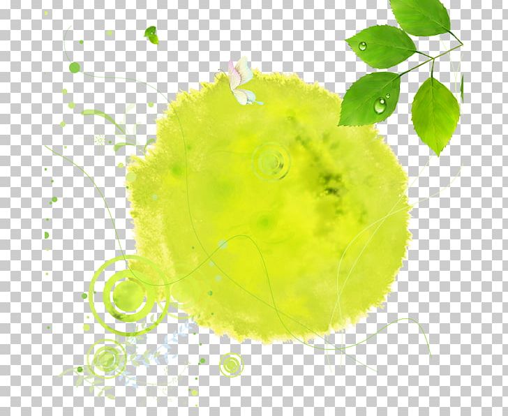 Green Web Banner PNG, Clipart, Art, Background, Background Green, Banner, Circle Free PNG Download