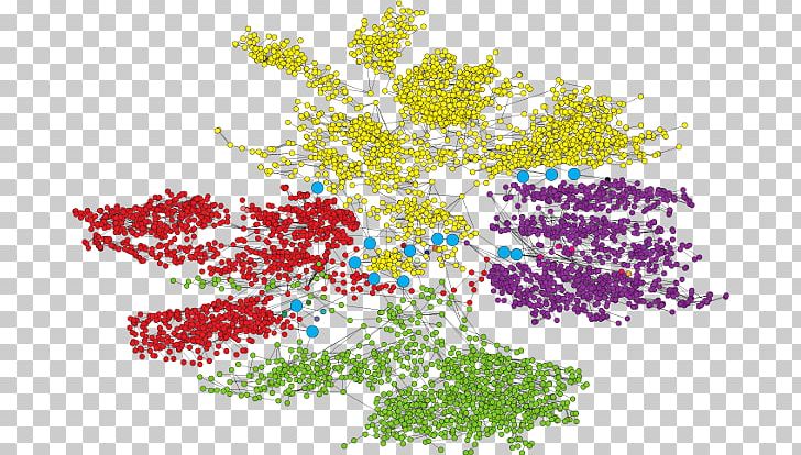 Interdependent Networks Computer Network Network Science University Of Florida PNG, Clipart, Art, Branch, Computer Network, Flora, Florida Free PNG Download