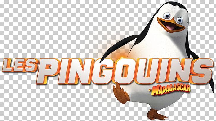 Kowalski Skipper Madagascar YouTube DreamWorks Animation PNG, Clipart, Advertising, Animated Film, Beak, Bird, Brand Free PNG Download