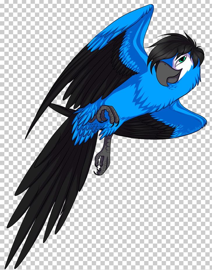 Macaw Blu YouTube Jewel Bia PNG, Clipart,  Free PNG Download