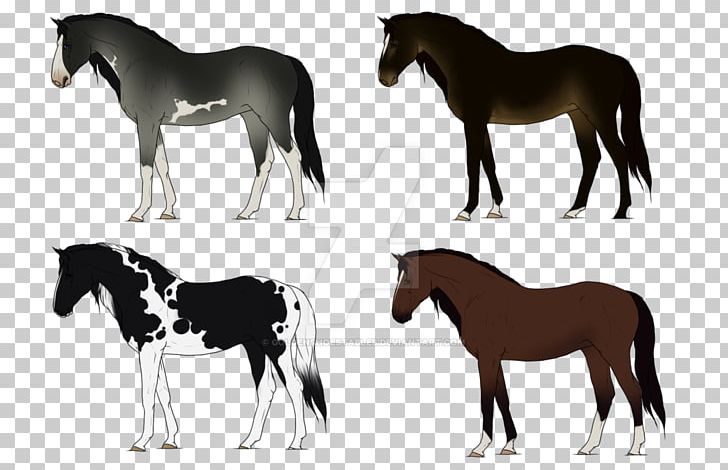 Mustang Foal Stallion Colt Mare PNG, Clipart,  Free PNG Download