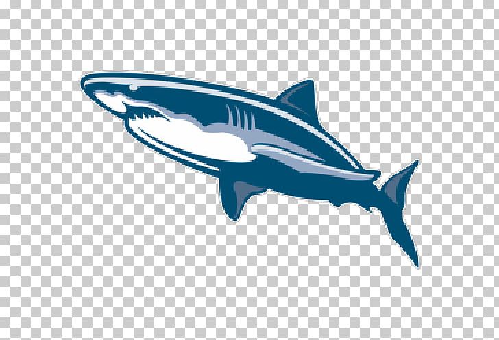 Sand Tiger Shark Great White Shark PNG, Clipart, Animals, Automotive Design, Cartilaginous Fish, Dolph, Marine Biology Free PNG Download
