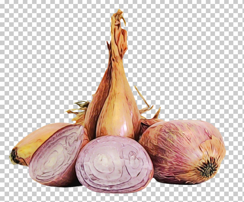 French Onion Soup Blanquette De Veau Coq Au Vin Vegetable Ingredient PNG, Clipart, Baking, Beurre Blanc, Blanquette De Veau, Coq Au Vin, Dipping Sauce Free PNG Download