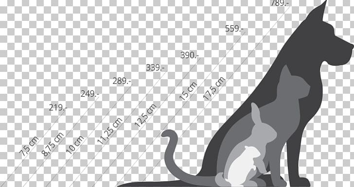 Cat Dog Hamster Kitten Puppy PNG, Clipart, Angle, Animal, Animal Shelter, Black And White, Carnivoran Free PNG Download