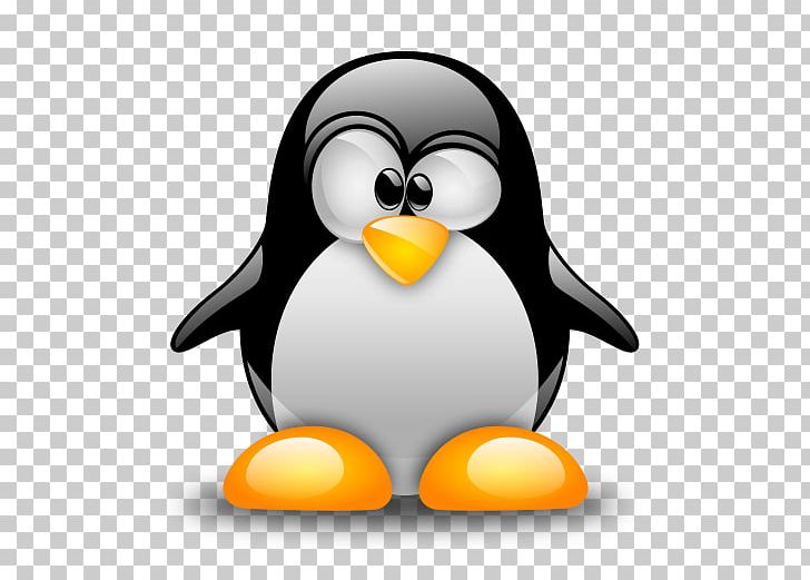 Computer Servers Linux Installation Samba Software Build PNG, Clipart, Beak, Bird, Computer Servers, Computer Wallpaper, Flightless Bird Free PNG Download