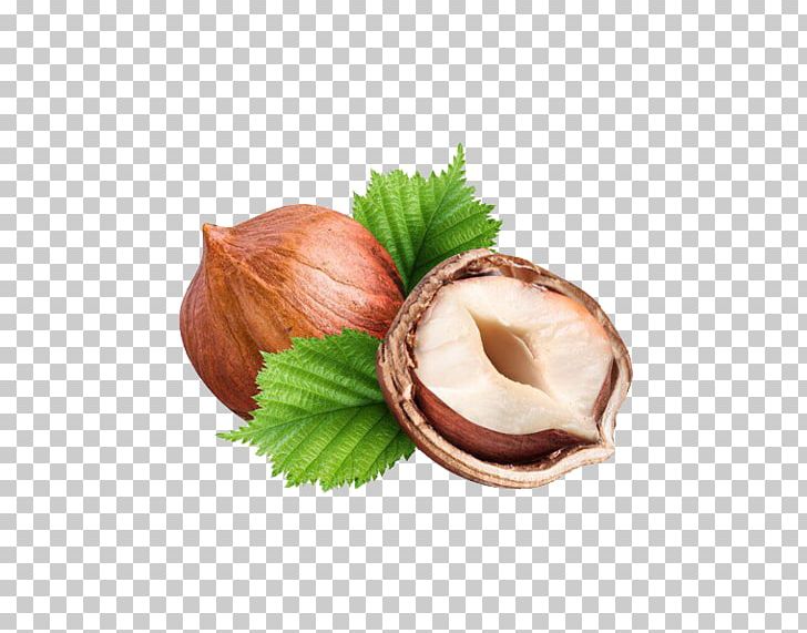 Hazelnut Common Hazel Nuts Chocolate Bar PNG, Clipart, Auglis, Chocolate Bar, Common Hazel, Dried Fruit, Filbert Free PNG Download