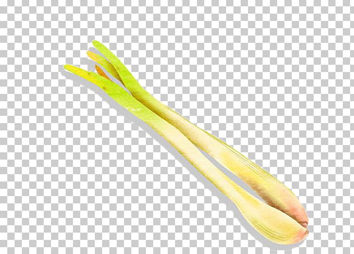 Scallion Allium Fistulosum Onion PNG, Clipart, Adobe Illustrator, Allium Fistulosum, Artworks, Background Green, Blue Free PNG Download