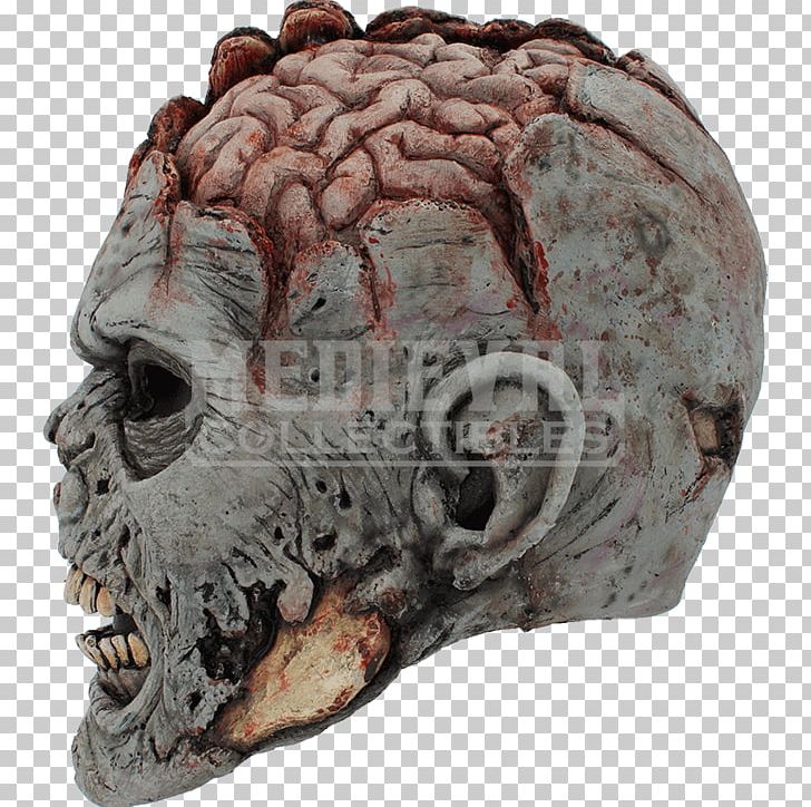 Skull Brain Mask Head Grey Matter PNG, Clipart, Bone, Brain, Clay, Com, Fantasy Free PNG Download