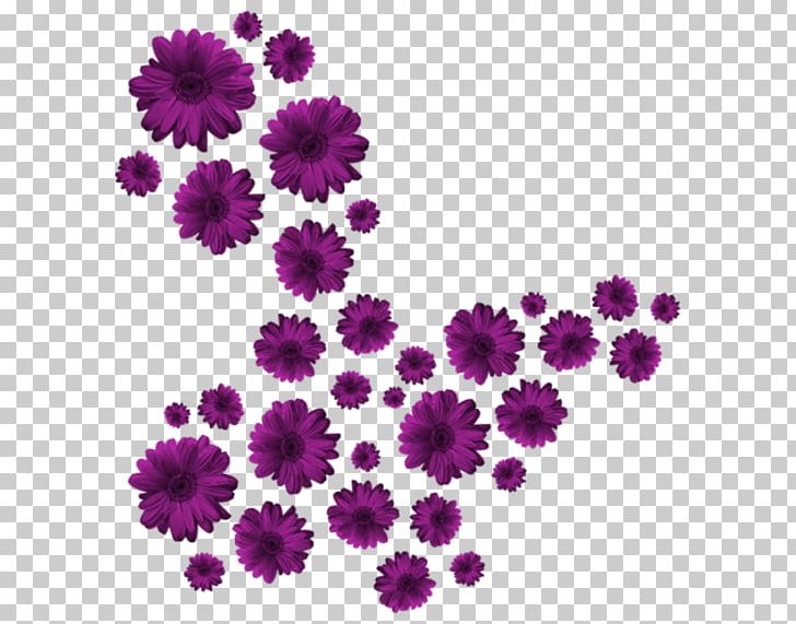 Flower CorelDRAW PNG, Clipart, Annual Plant, Aster, Chrysanths, Cicekler, Coreldraw Free PNG Download