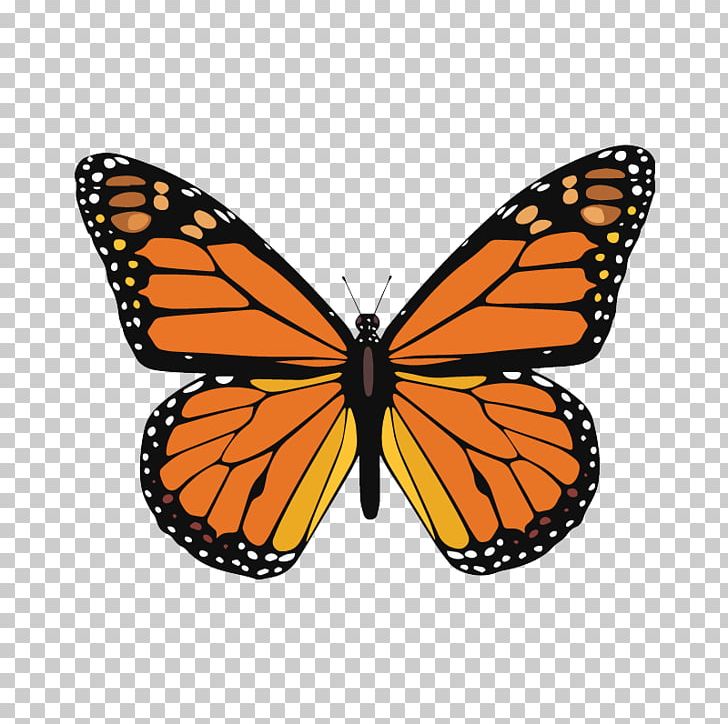 Monarch Butterfly Multiple Sclerosis PNG, Clipart, Arthropod, Awareness, Awareness Ribbon, Brush Footed Butterfly, Butterfly Free PNG Download