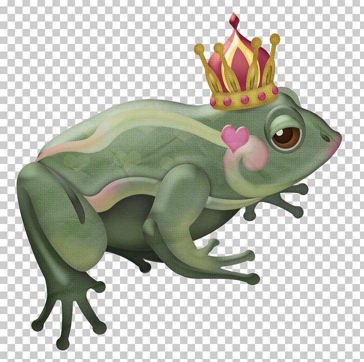 Toad True Frog Tree Frog Reptile PNG, Clipart, Amphibian, Fauna, Frog, Frog Prince, Organism Free PNG Download