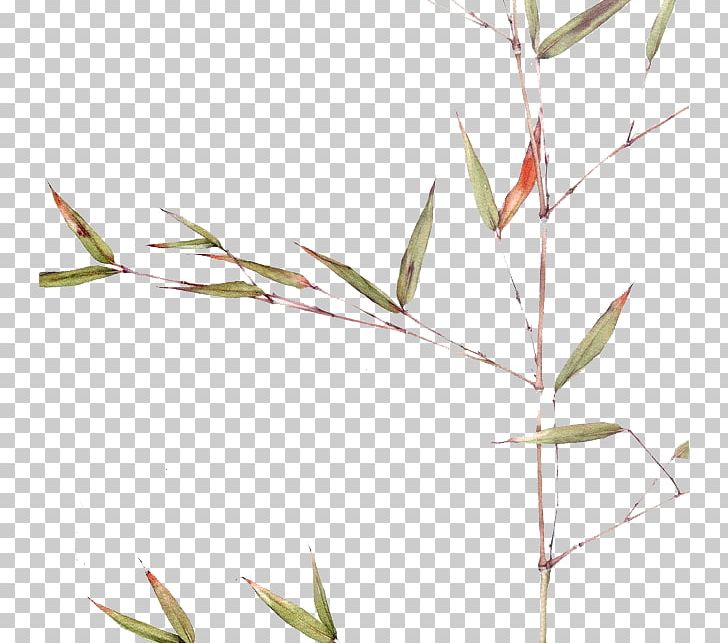 Watercolor Painting Painter PNG, Clipart, Art, Artist, Background Green, Bamboo, Botanical Illustration Free PNG Download
