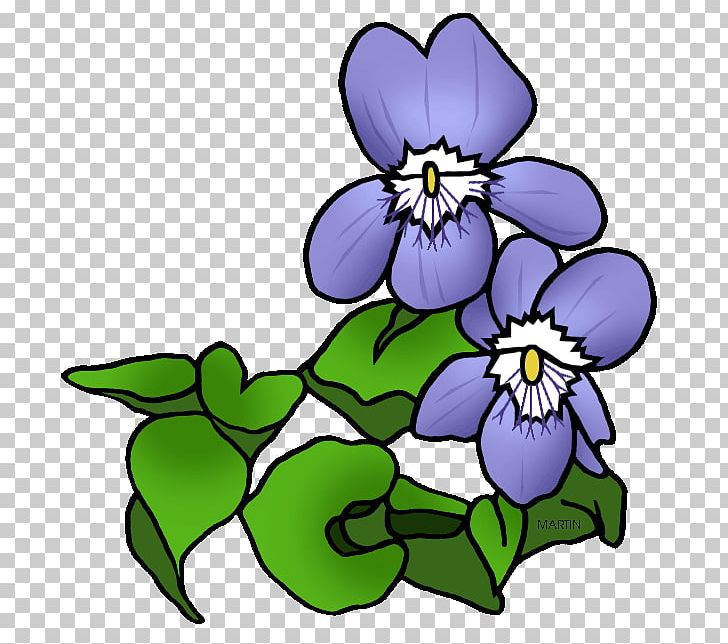 African Violets Purple PNG, Clipart, African Violets, Artwork, Cut Flowers, Download, Flora Free PNG Download