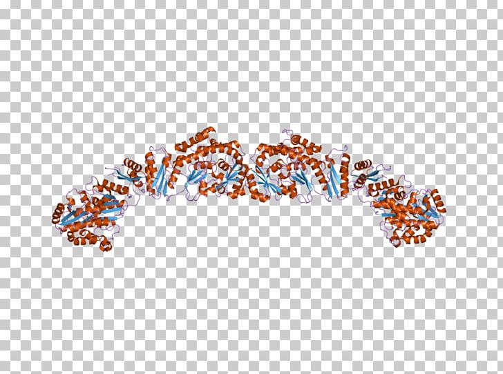 Art Body Jewellery Font PNG, Clipart, Art, Body Jewellery, Body Jewelry, Jewellery, Line Free PNG Download